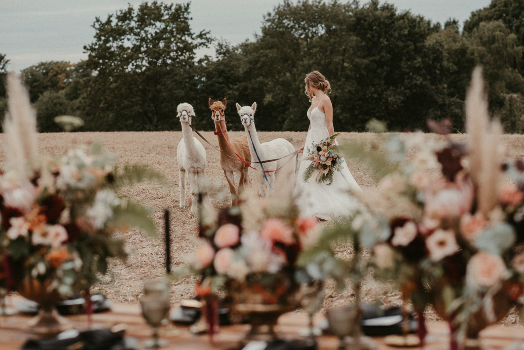Wir sind dein Hochzeitsfotograf! Your Wedding Story erzählt eure Hochzeit in Bildern nach. Unsere Hochzeitsreportage erhält eure Erinenrungen für die Ewigkeit (706)